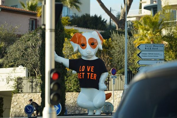 Comment passer de bonnes vacances avec votre animal de compagnie ?